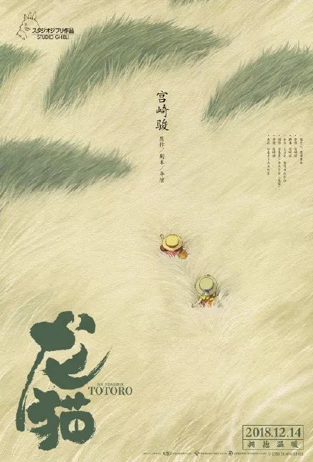 定制马尔代夫护照模板